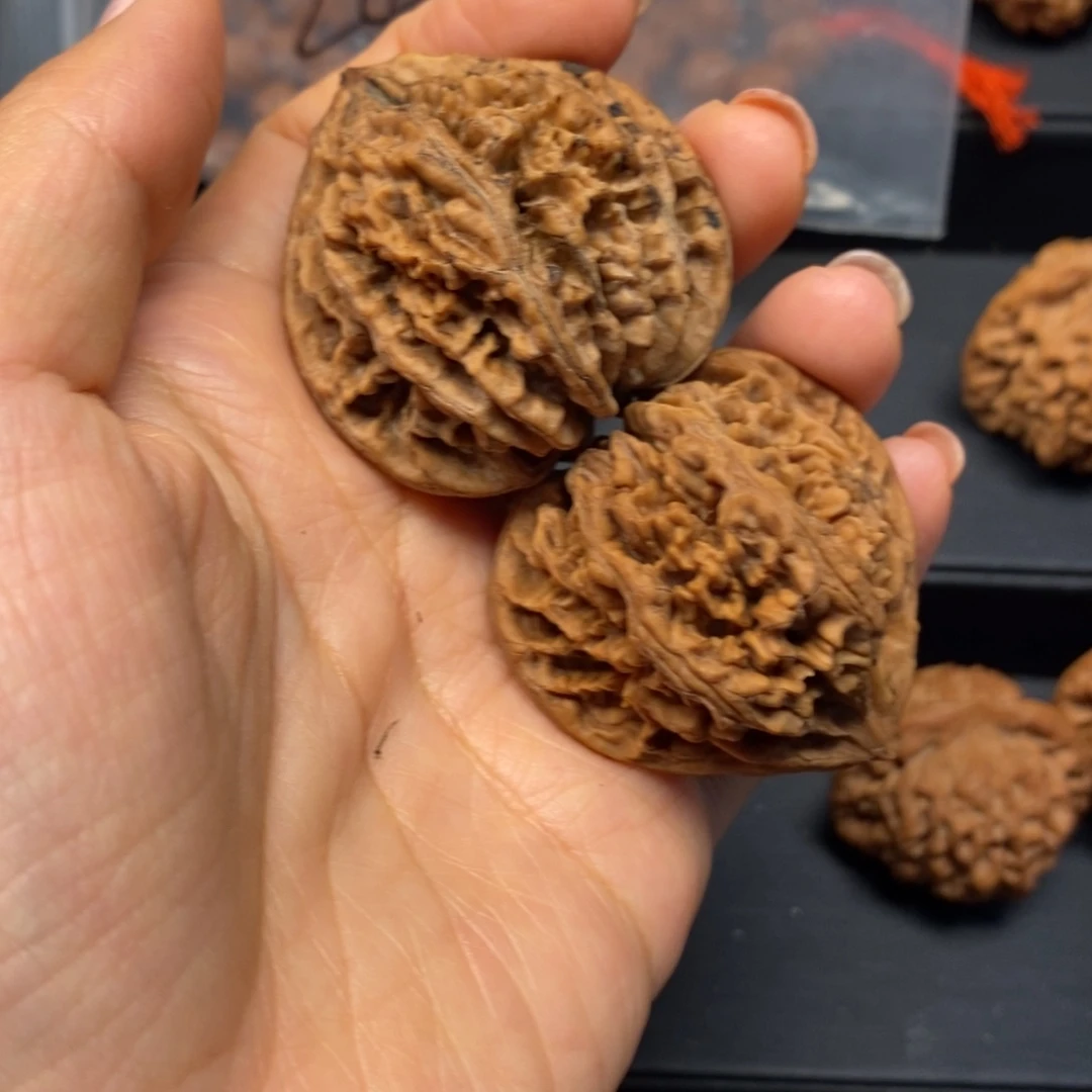 核桃手串/手链秦岭南北缘是指长江北岸