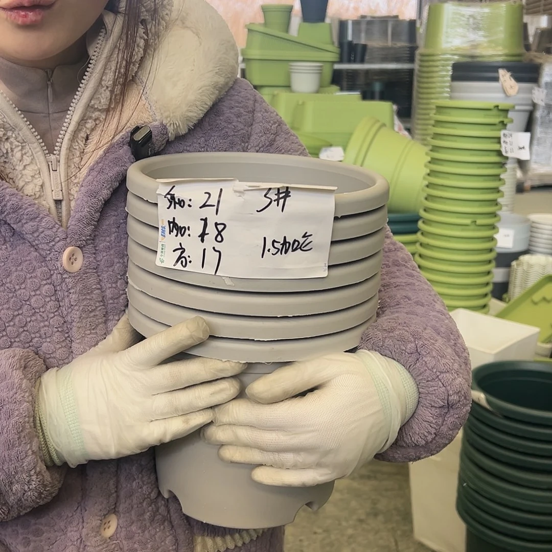 四季盆3#灰白10个无托