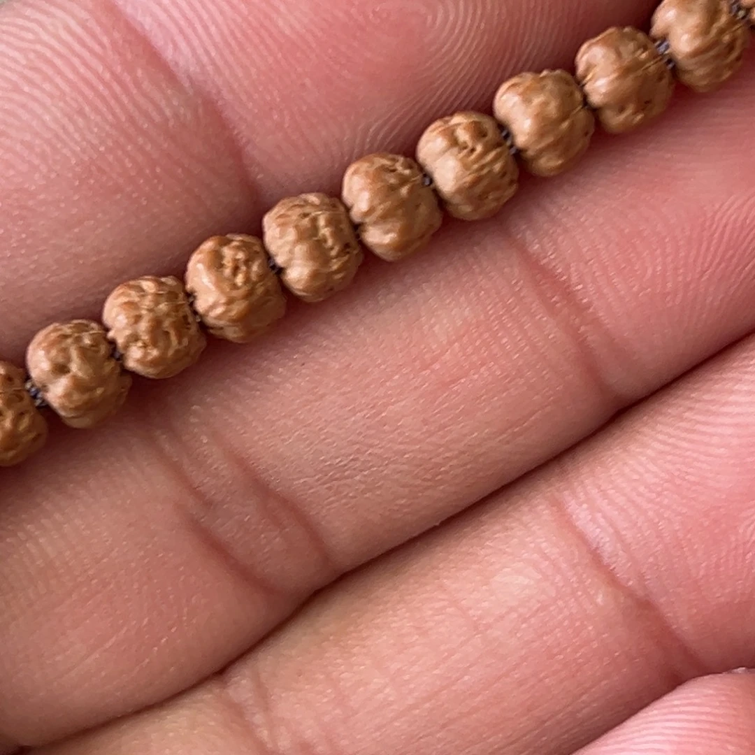 别***张5.8五爪金龙原桩佛手