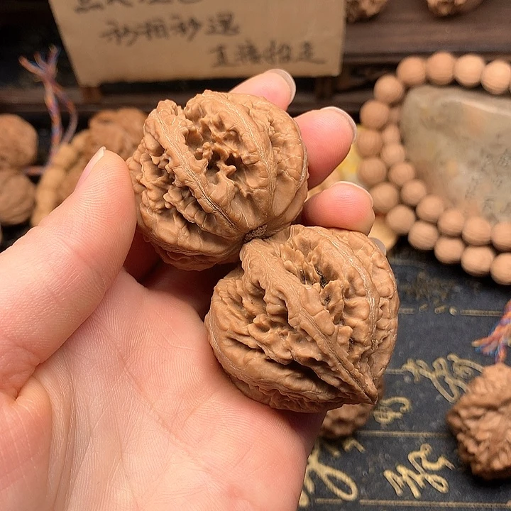 秦岭森林茂密地栖息