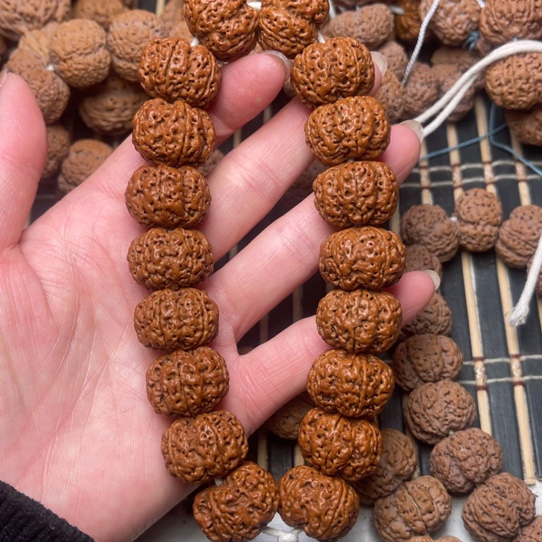 菩提尼泊尔大金刚矮壮爆肉钮扣21+