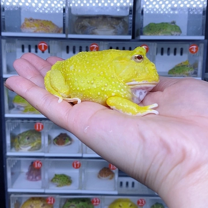 特价秒杀现货特价