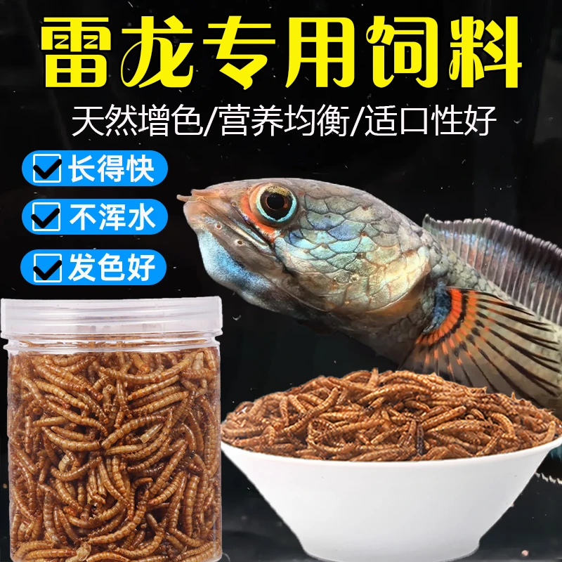 雷龙鱼饲料黄金眼镜蛇彩虹龙鱼食阿萨姆巴卡蓝宝石观赏鱼发色鱼粮