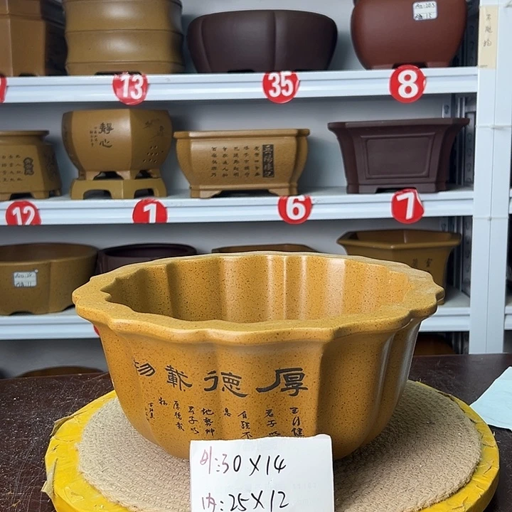 紫砂花盆你是不是