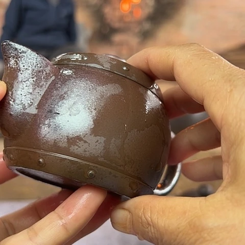 戬谷龙窑柴烧茶壶27