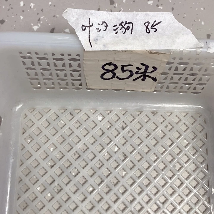 高达散货手办玩具