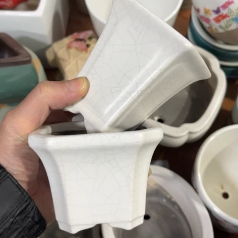 2［所有订单凑满15包邮］