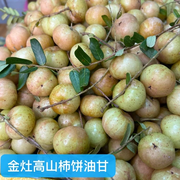 金玉卿姑 金灶崩坎种油甘果 柿饼油甘大果 生吃回甘好品种 一斤装