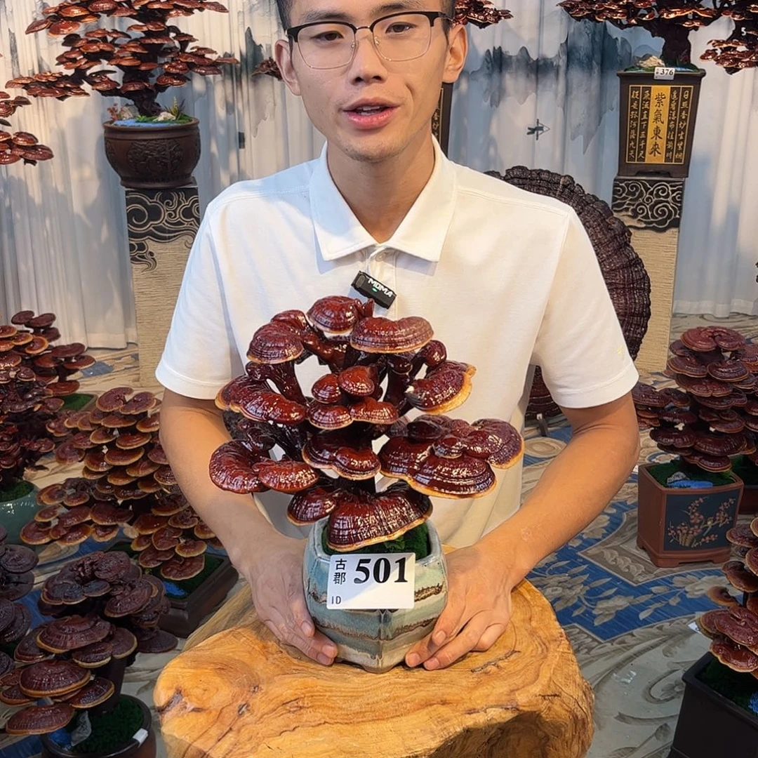 全部花朵88888888888888
