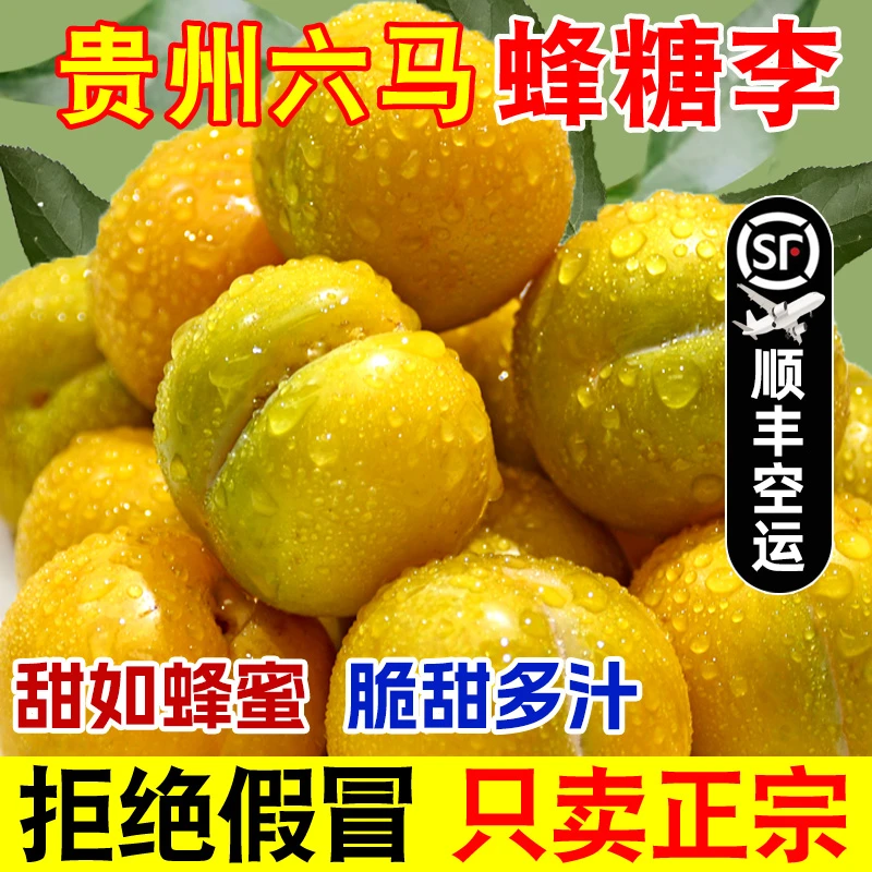 正宗贵州六马蜂糖李新鲜应季水果蜂蜜李脱骨李3/5斤