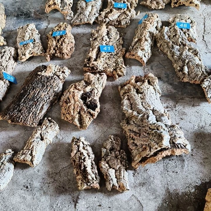 完全开放顺顺利利，平平安安