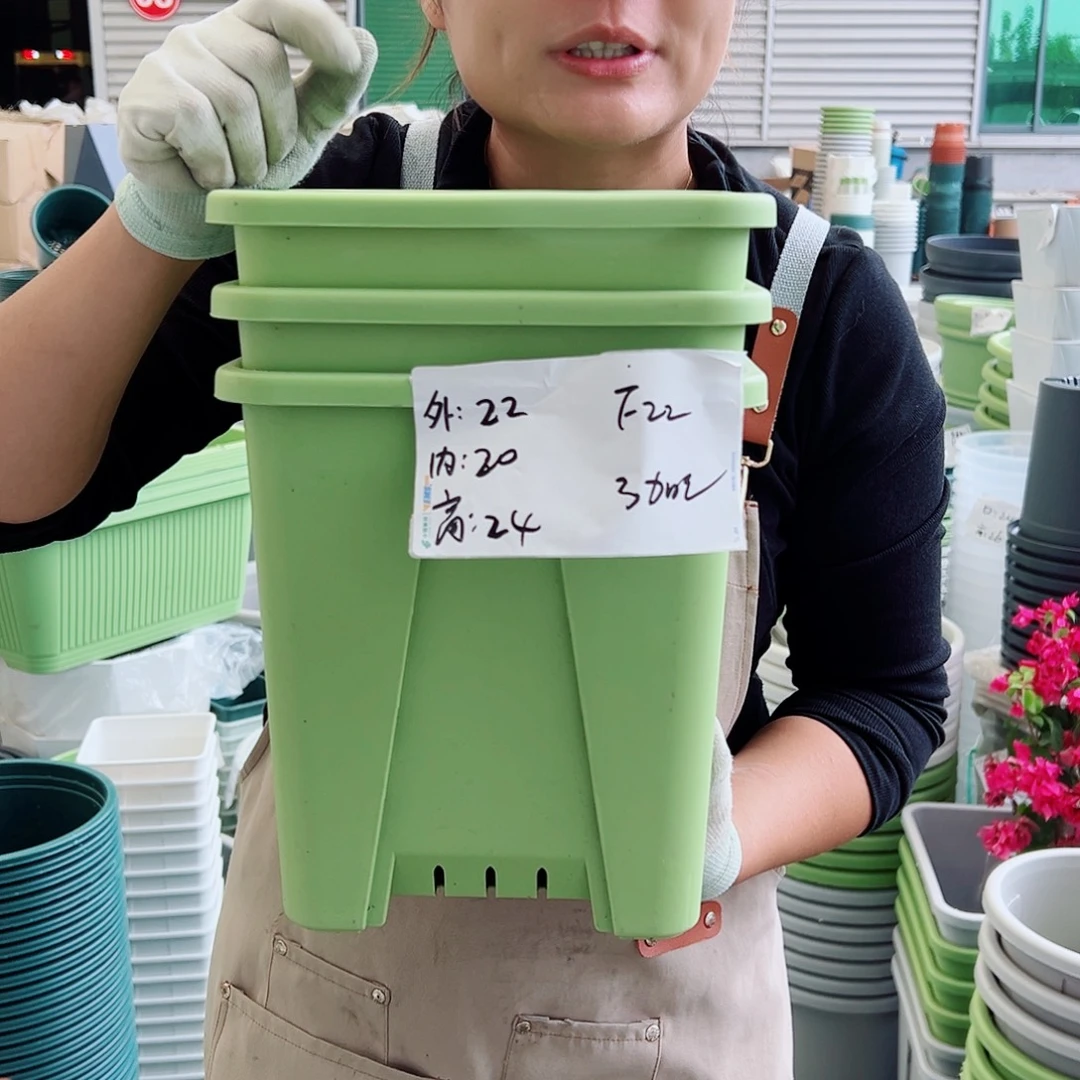 方盆F22#果绿色5个无托