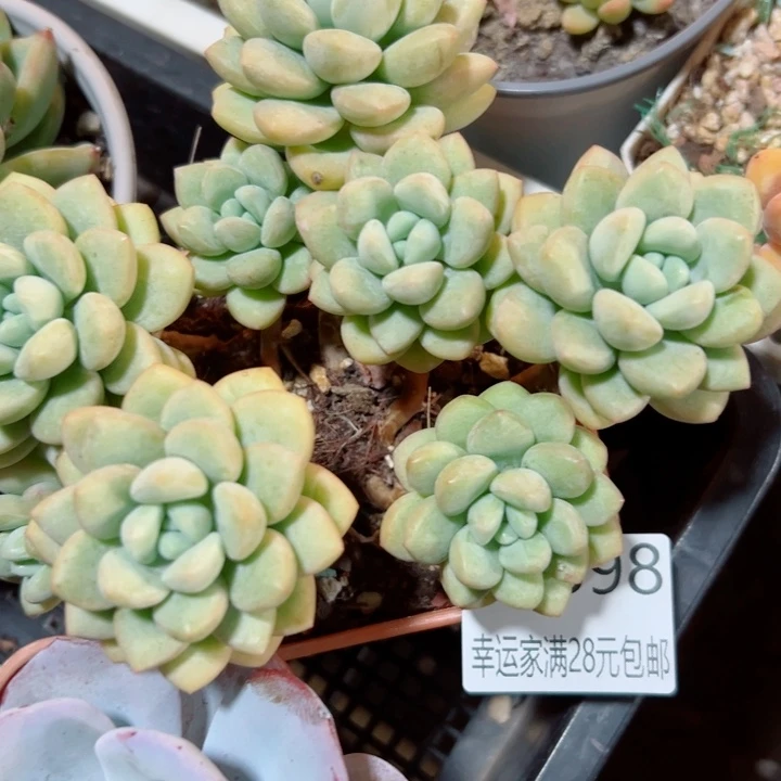 F***d幸运的是我还没遇到你呢