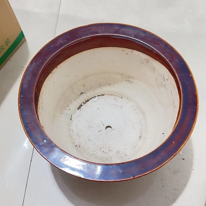 阳***道扇子吃g哈哈吧哈哈哈哈哈哈