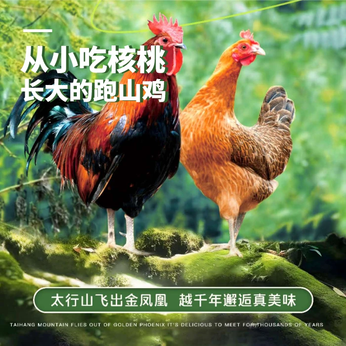 【石禽石美】乐润太行山本土太行童子鸡（净膛去爪）买二送一到手三只