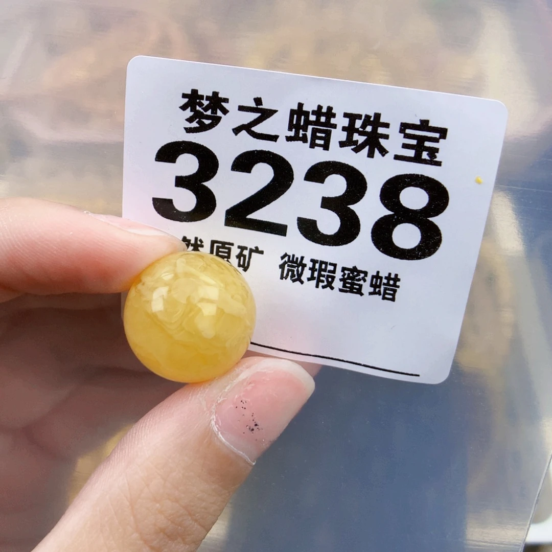 琥珀未镶嵌珠宝奇石17.8植物