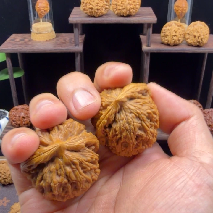 桃核把件水龙（微修）