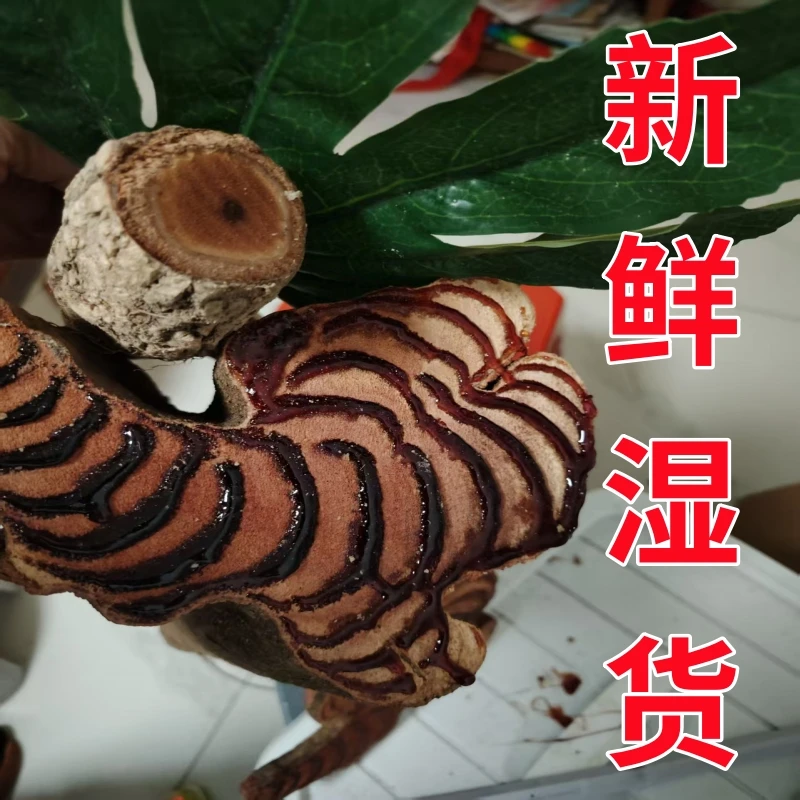 《热卖》【一号特大藤/现切/新鲜湿货】广西野生鸡血藤煮水 煲汤泡酒