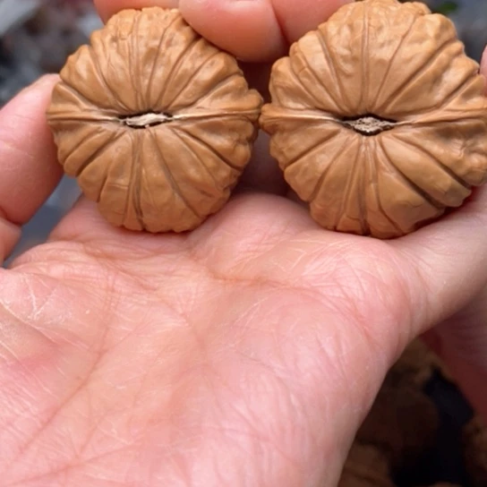 桃核吊坠巴*南瓜墩狮子