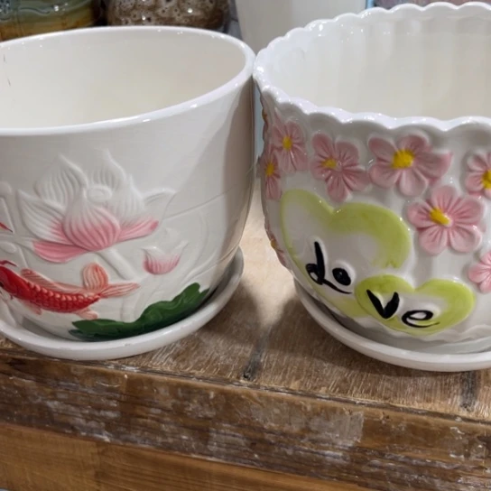 口径问客服，满9包邮，水培3号链接