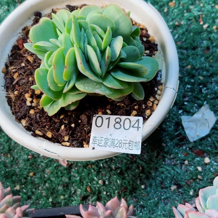 幸运的是我还没遇到