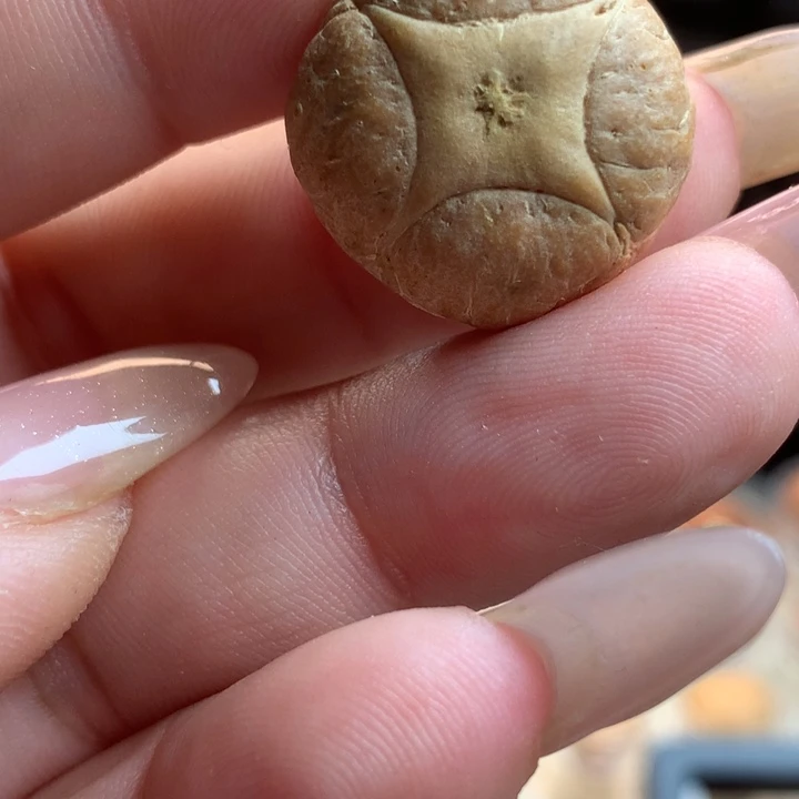 凤眼菩提吊坠陈*