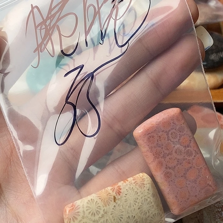 脆***猫硅化玉未镶嵌颈饰