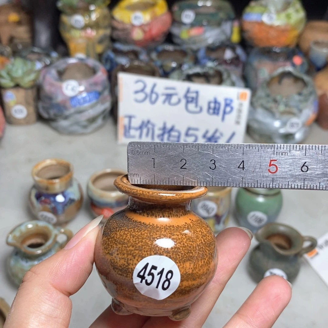 拍5送一个小礼物
