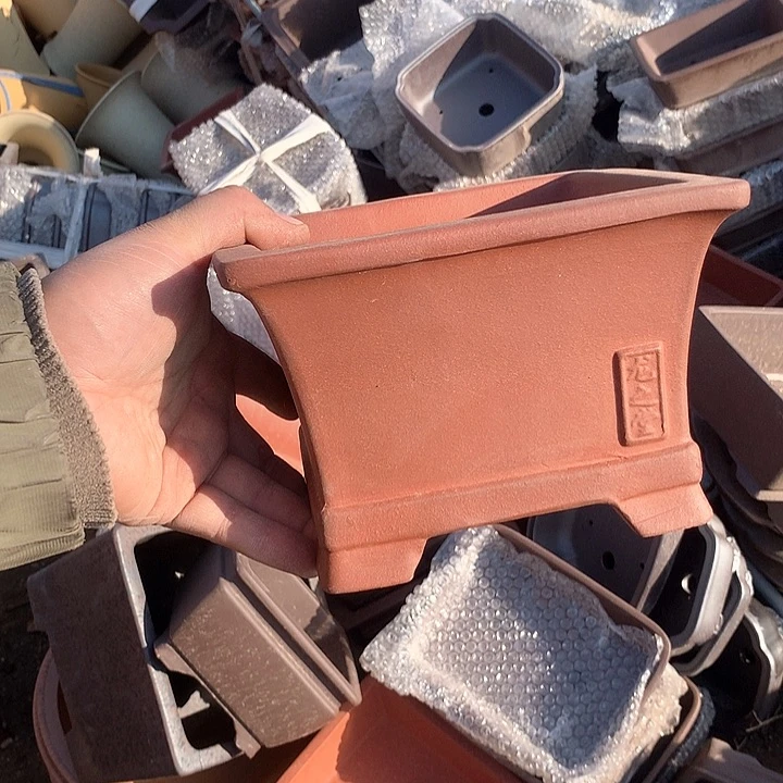 紫砂优秀青年科技学院教授一