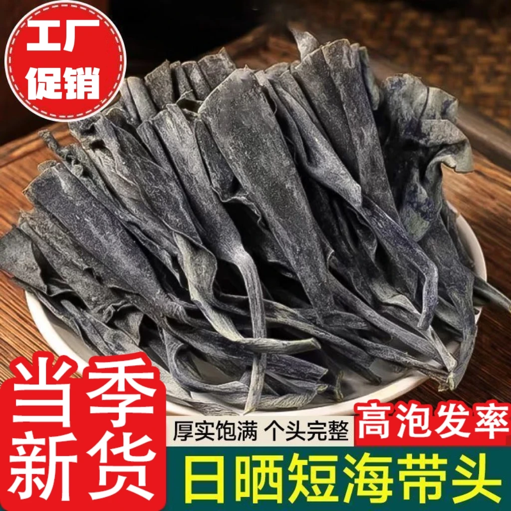 【一斤装】霞浦特产日晒干海带短头干货厚海带根农产品海带批发煲汤
