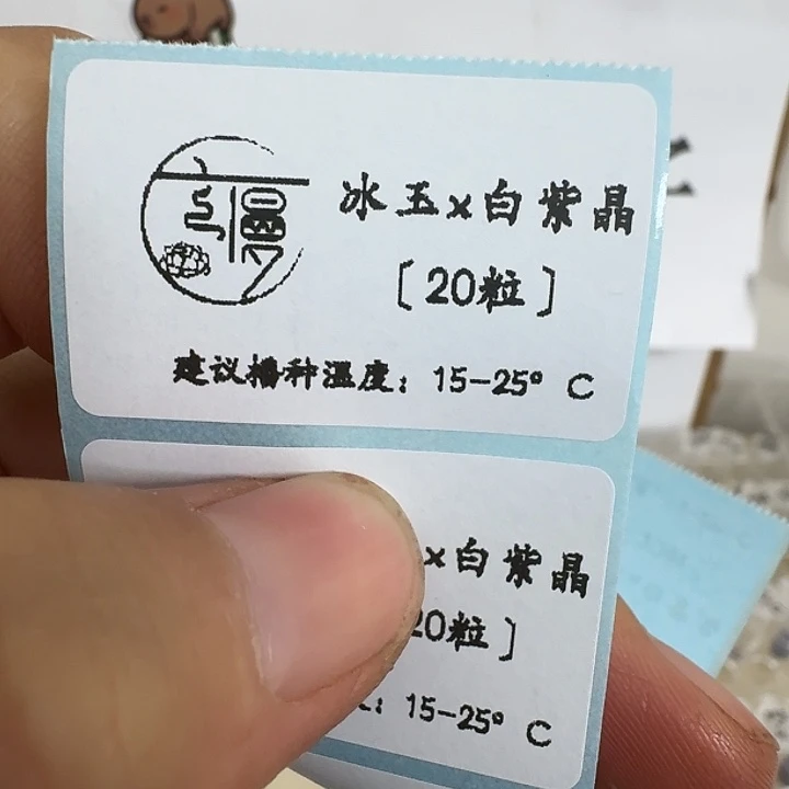 如图2025年冰玉x白紫晶种子20粒不包出芽率