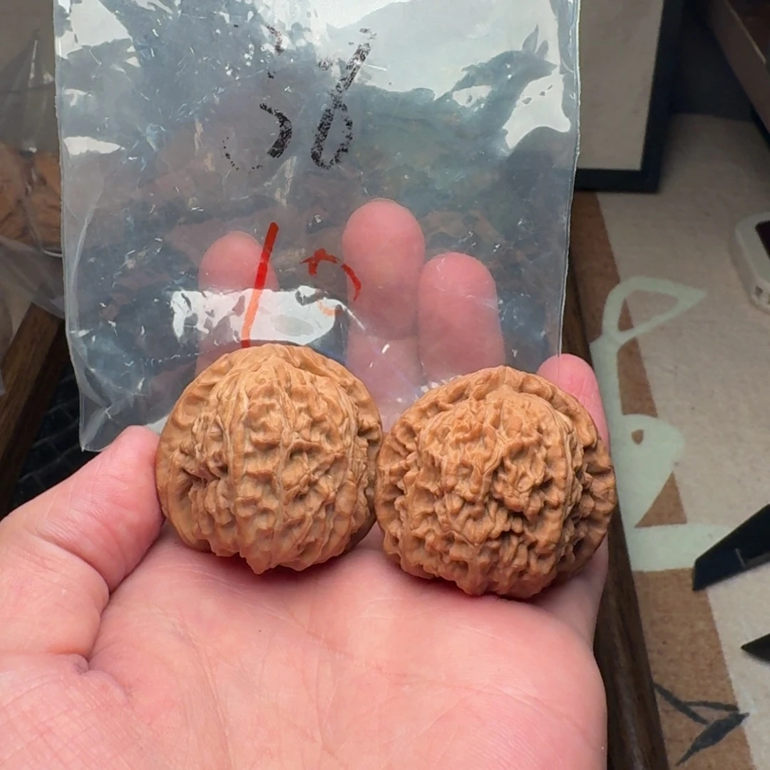 把件文玩核桃38白狮子10号