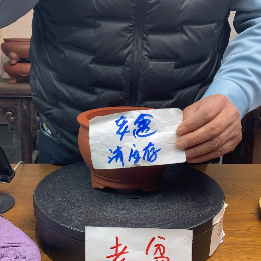 紫砂货号一只JB1788