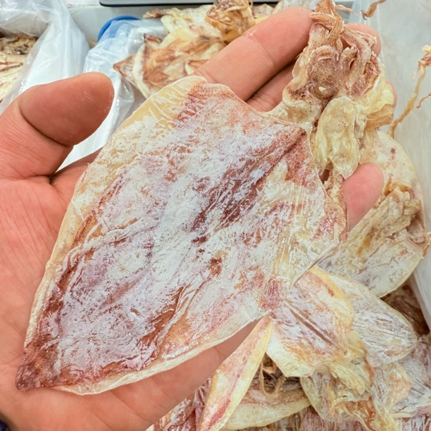 【马鲛仔海产冰冰】A3鱿鱼海鲜干新鲜淡晒250/500g顺丰包邮博贺港