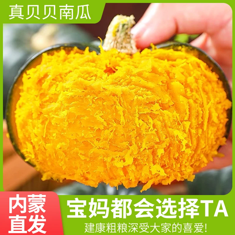 内蒙古沙地新鲜采摘贝贝南瓜粉糯香甜板栗口感适合孕妇宝宝辅食