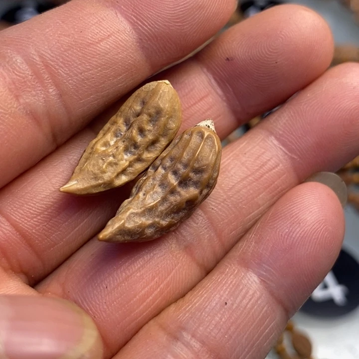 文玩核桃吊坠拿姐工艺93