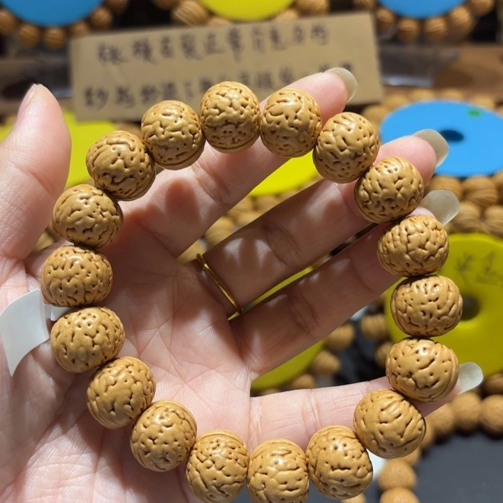 16加尺寸小金丹4号