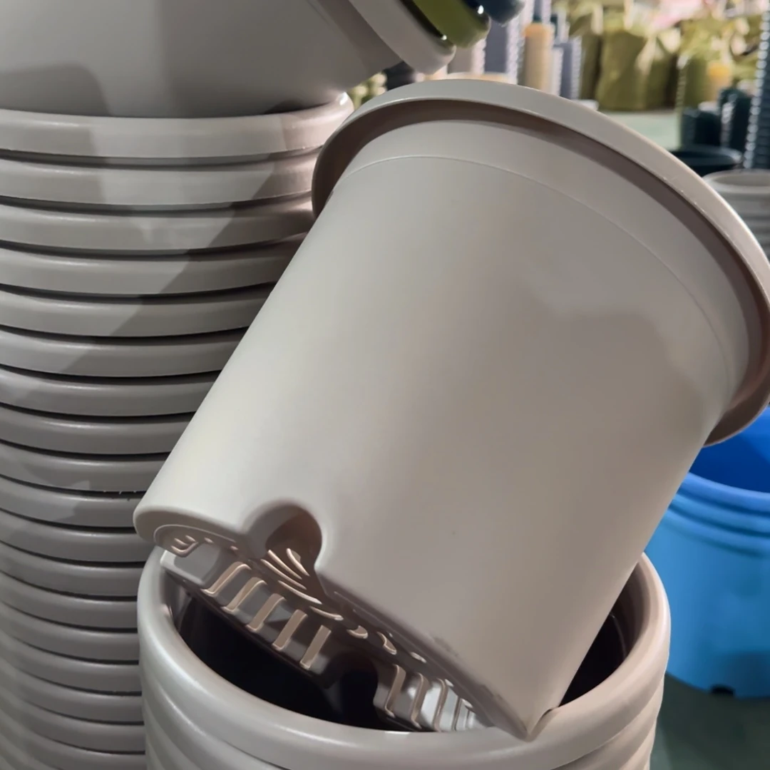 树脂特价4#无拖灰白8个