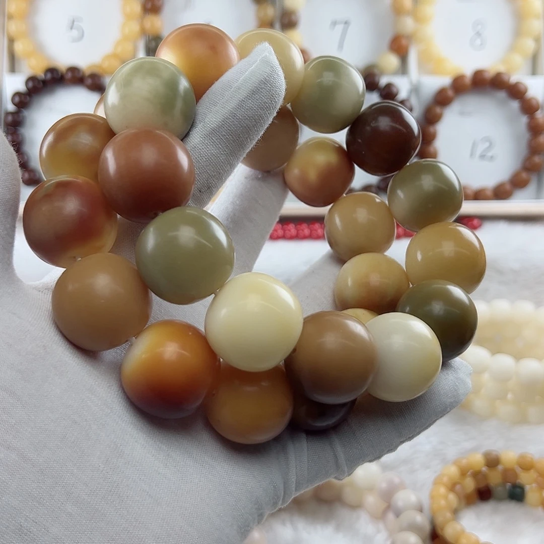 菩提根/象牙果吊坠嘟***嘟卡25 两条S520