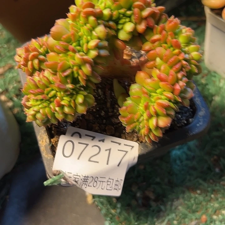 幸运的是我还没幸运