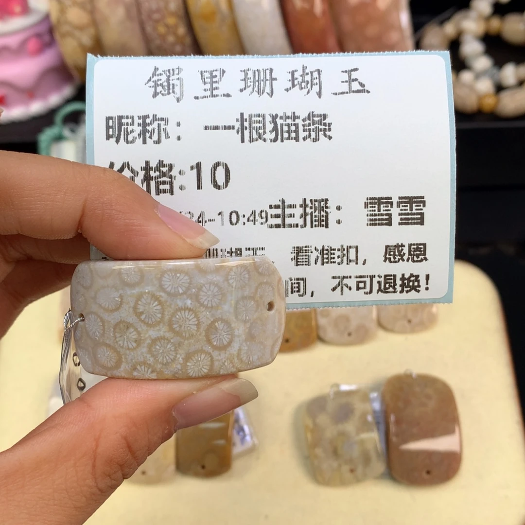 一***条硅化珊瑚（珊瑚玉）未镶嵌吊坠(赠链)