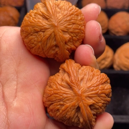 文玩核桃把件秦岭山脉核桃