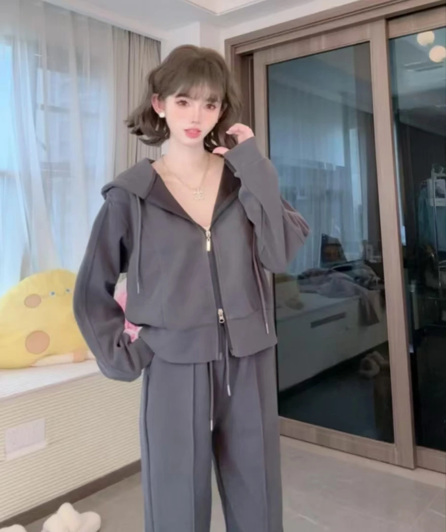 WL2025时尚套装春款韩版宽松休闲两件套简约显瘦阔腿连帽百搭