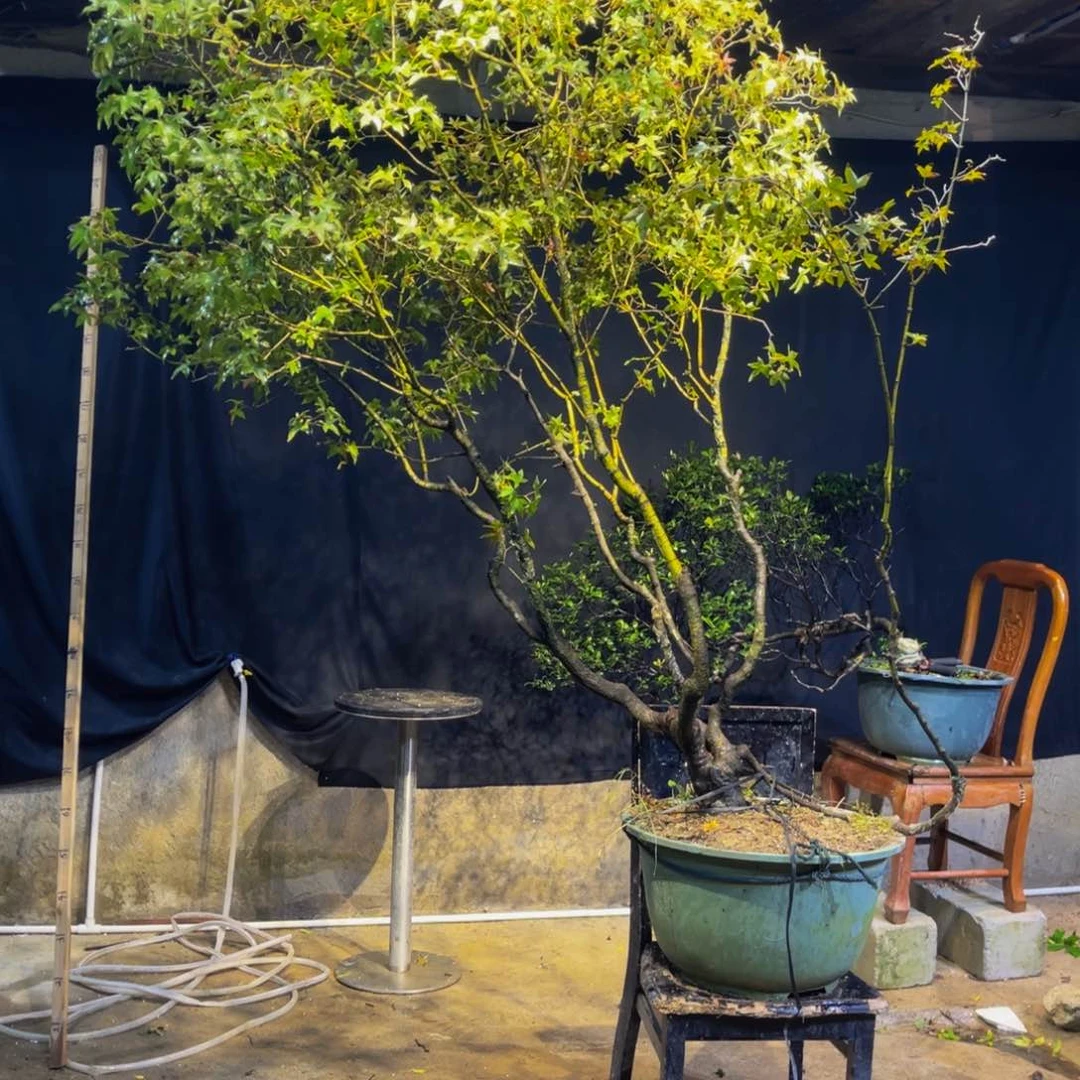 完全开放一**叔红红火火恍恍惚惚