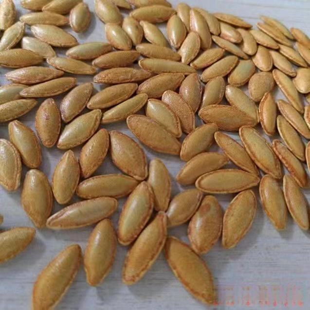 【净重1斤】正宗长粒美人甲南瓜子椒盐味原味香脆可口追剧小吃零食