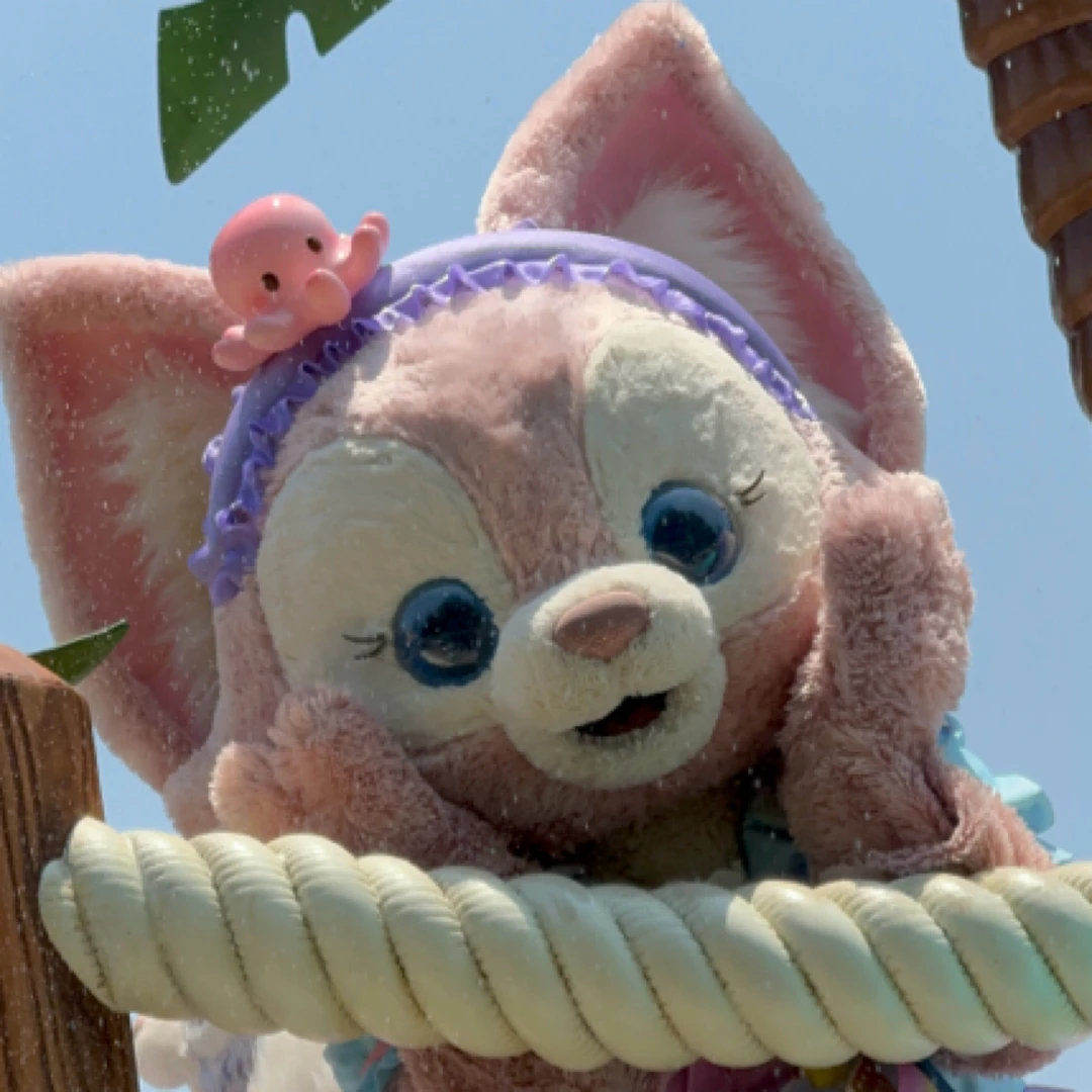 （209-299链接）以直播间专拍毛绒公仔挂件周边为准，no退no换