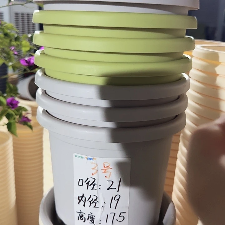 四季3号果绿无托10个特价微瑕