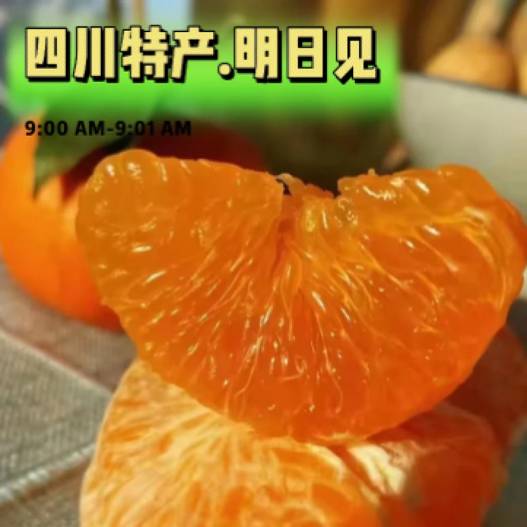 【果本宜】精品明日见柑橘皇后商超品质严选口感纯正脆甜多汁5/9斤