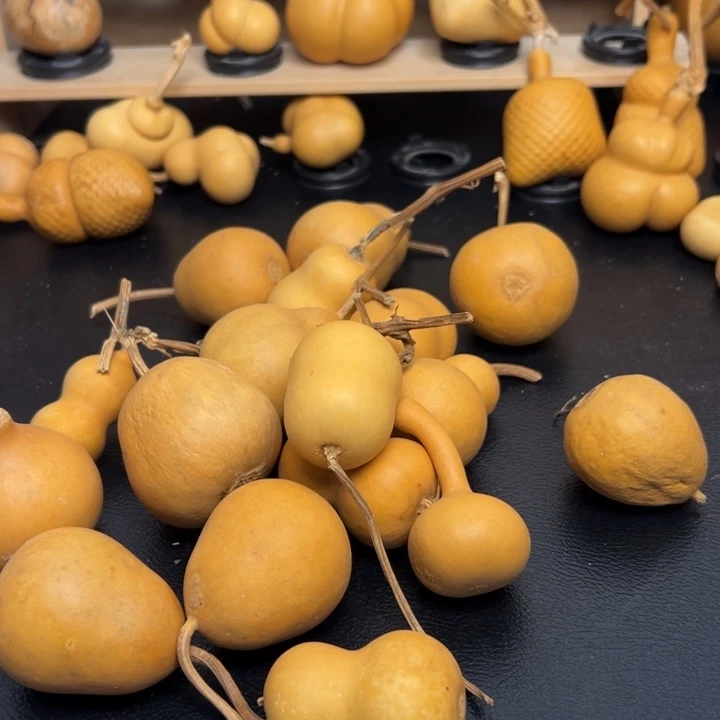 ?*?55555653656699999