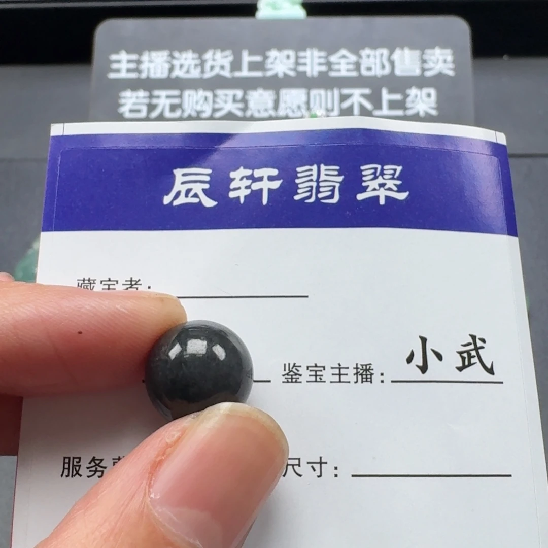翡翠未镶嵌颈饰    15